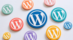 WordPress Multisite